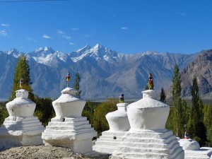 k-522-jpg-sumur-ladakh-r